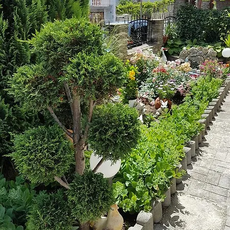 Guest Denitsa 게스트하우스 3*